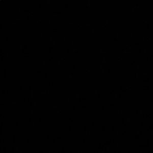 Meet your Posher, Jadyn